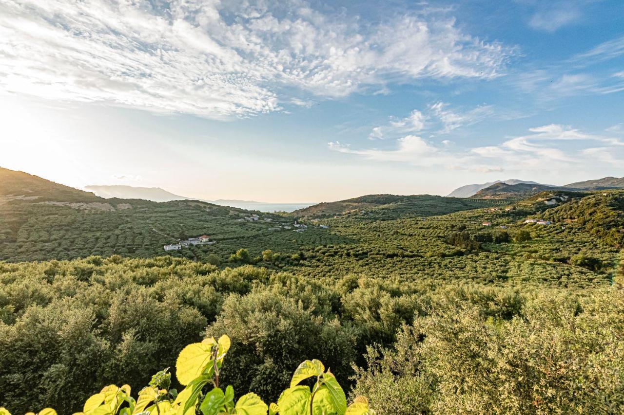 Rikanthos Stone Sea View Apartment Ι Falelianá Buitenkant foto